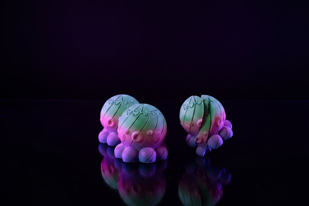 3D Printed Flexi Octopus